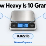 6 Common Things That Are 10 Grams in Everyday Life How Heavy Is 10 Grams