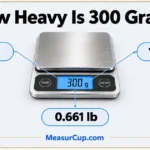 How Heavy Is 300 Grams