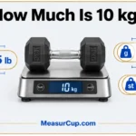 6 Common Things That Weigh 10 kg How Much Is 10 kg