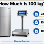 How Much Is 100 kg