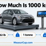 How Much Is 1000 kg? 6 Common Things That Weigh 1000 kg How Much Is 1000 kg