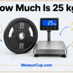 How Much Is 25 kg? 6 Common Things That Weigh 25 kg How Much Is 25 kg