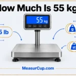 How Much Is 55 kg? 6 Common Things That Weigh 55 kg How Much Is 55 kg