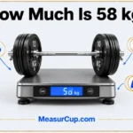 How Much Is 58 kg? 6 Common Things That Weigh 58 kg How Much Is 58 kg