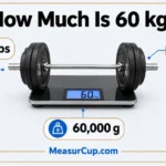 How Much Is 60 kg