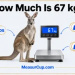 How Much Is 67 kg