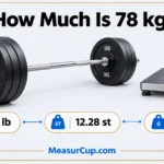 How Much Is 78 kg? 6 Common Things That Weigh 78 kg How Much Is 78 kg